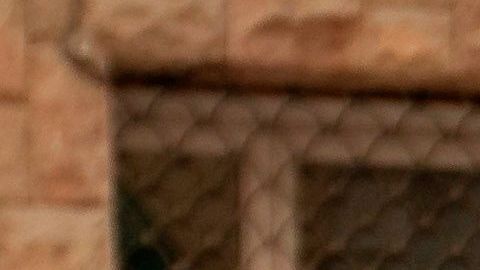 No hubo punto de acuerdo entre Jorge Messi y Josep María Bartomeu.