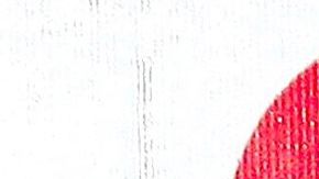 José Ron y Ariadne Díaz.