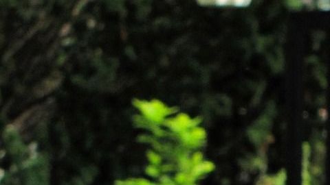 niña pequeña