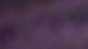 La lavanda posee propiedades relajantes y energéticas.