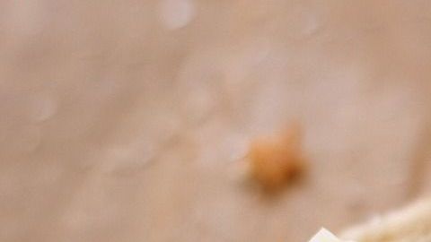 margarina-Ken Boyd en Pixabay