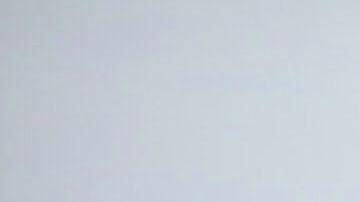 Hay signos que socializan más fácil que otros.