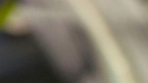 El maíz es símbolo de abundancia y fertilidad.