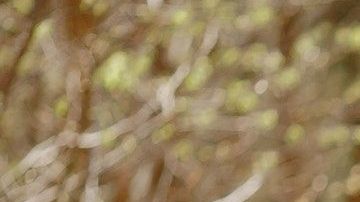 Nunca es tarde para comenzar un nuevo ciclo.