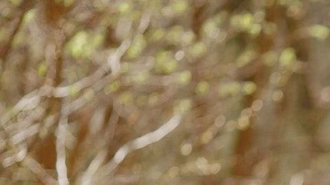 Nunca es tarde para comenzar un nuevo ciclo.