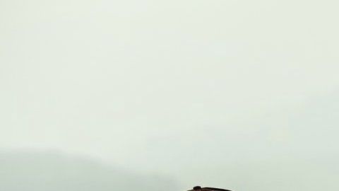 Conoce qué obliga a estos signos a ser tan arriesgados.