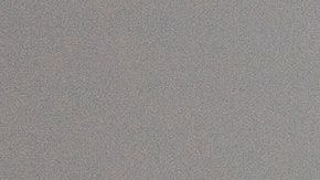 La mujer llegó en estado de ebriedad y le molestó mucho encontrarse con este animal.