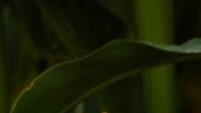 Las señales están ahí, solo hay que saber identificarlas.