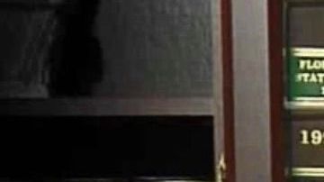 Imagen promocional del abogado, que fue asesinado a tiros por su hijo.