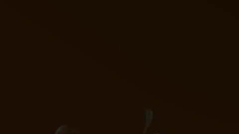 El anillo de fuego le jugó una mala pasada al acróbata.