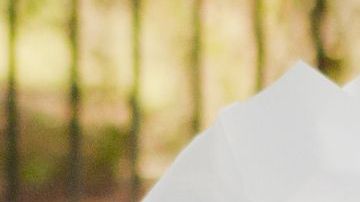 3 mujeres se colaron a la fiesta y engañaron a todos.