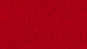 Promueven el voto por correo debido a la pandemia.