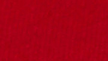 Promueven el voto por correo debido a la pandemia.