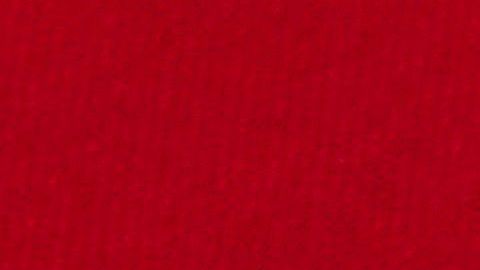 Promueven el voto por correo debido a la pandemia.