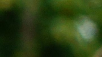 El joven tomó esta decisión porque está cansado de conocer a las personas incorrectas.