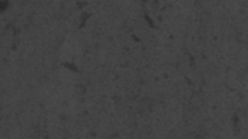 shutterstock_191835143