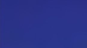 Dicen ser una familia muy feliz.