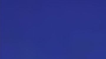 Dicen ser una familia muy feliz.