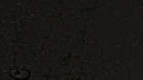 shutterstock_258079826