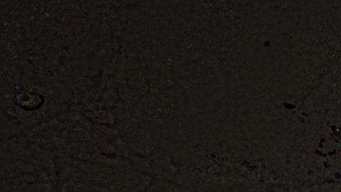 shutterstock_258079826