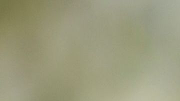 Creía que tenía el matrimonio perfecto pero todo era mentira.