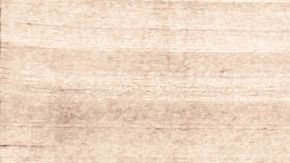 Al abrir la caja descubrieron algo terrible.