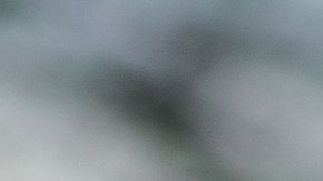 Asalto a automovilista.