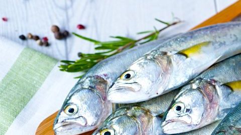 pescado azul