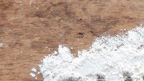 shutterstock_555202162