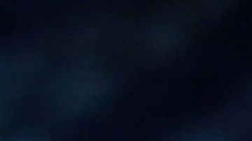 Su idea costó varios cientos de miles de dólares.