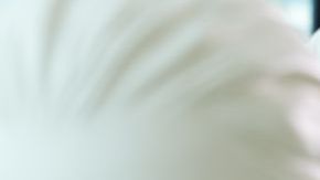 shutterstock_mujeres