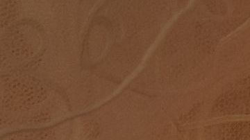 El día más feliz para la pareja se volvió en tragedia,