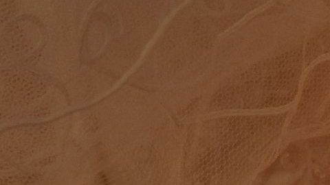 El día más feliz para la pareja se volvió en tragedia,