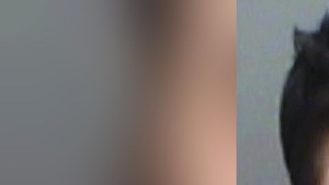 Un juez federal de Virginia condenó a McMahon a tres años y cinco meses de prisión.