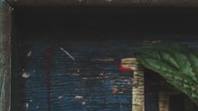 El jengibre tiene propiedades broncorelajantes