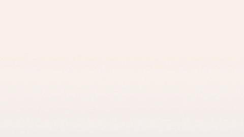 Telemundo y Univision