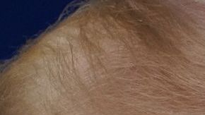 Donald Trump y Joe Biden.