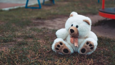 Oso de peluche.