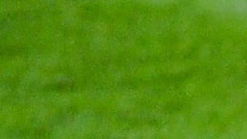 La magia de Xavi Hernández enfundado en la camiseta del Barcelona y de la Selección Española de Fútbol será inolvidable para los fanáticos del fútbol.
