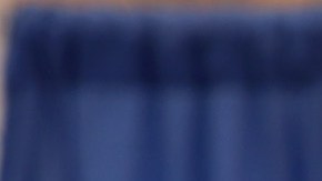 El día de las elecciones primarias presidenciales de Illinois es el martes 19 de marzo.