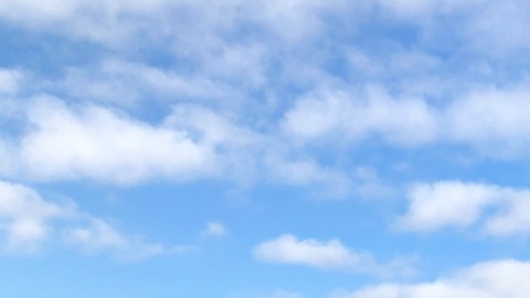 El sábado pasado, docenas de personas hicieron fila para hacerse la prueba de COVID-19 en la iglesia católica Santa Clara de Montefalco, ubicada en Gage Park, desde antes de las 10 am. (Mauricio Peña/Block Club Chicago)