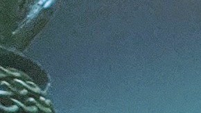 Marcos Carbajal, dueño del restaurante Carnitas Uruapan, toma la orden de un cliente detrás de un plástico protector mientras su empleada le entrega a otra cliente su comida para llevar. (Irene Tostado / La Raza)