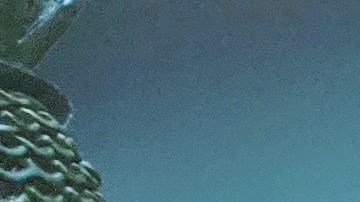 Marcos Carbajal, dueño del restaurante Carnitas Uruapan, toma la orden de un cliente detrás de un plástico protector mientras su empleada le entrega a otra cliente su comida para llevar. (Irene Tostado / La Raza)