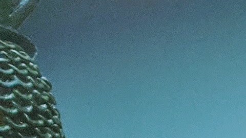 Marcos Carbajal, dueño del restaurante Carnitas Uruapan, toma la orden de un cliente detrás de un plástico protector mientras su empleada le entrega a otra cliente su comida para llevar. (Irene Tostado / La Raza)