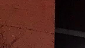 El Centro Médico Alivio realiza pruebas de detención de covid-19 en sus sedes en Berwyn y Pilsen. (Belhú Sanabria/La Raza)