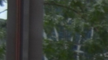 Affordable housing advocates urge tenants to learn about their rights and fight to keep the moratorium on Illinois's evictions. (Belhú Sanabria / La Raza)