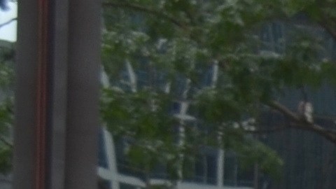 Affordable housing advocates urge tenants to learn about their rights and fight to keep the moratorium on Illinois's evictions. (Belhú Sanabria / La Raza)