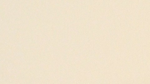 Francisca Lino para evitar la deportación permanece refugiada en la iglesia Metodista Unida San Adalberto en Humboldt Park, desde hace tres años. (Belhú Sanabria / La Raza)