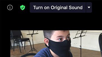 Una de las clases virtuales vía Zoom de Sones de México Ensemble. (Cortesía Juan Díes, Sones de México Ensemble)