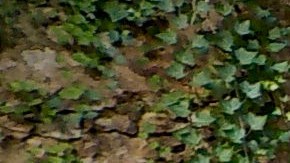 Manuel Mejía Armijo, virtuoso del laúd y las guitarras antiguas, interpretará con la soprano Nadia Ortega antiguas canciones de Navidad en el concierto ‘Niño dulce y sagrado’ para celebrar los 50 años de La Raza. Será el martes 22 de diciembre de 2020, a las 7 pm CST, en los canales de YouTube y Facebook de La Raza. (Cortesía)